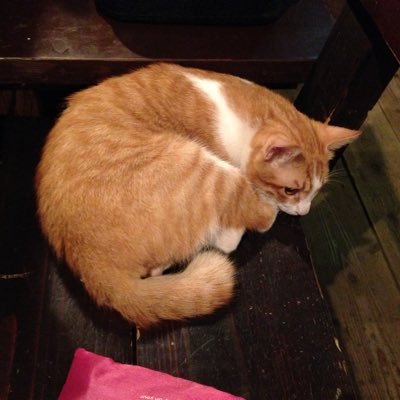 Profile Picture of Shimojo1985＠おおざけ飲酒の会 (@shimojo334) on Twitter