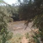 Profile Picture of Yassin Tabit (@Yassin-Tabit) on Facebook