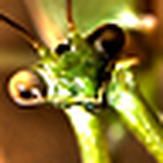 Profile Picture of David Marcelo Finzi (@david marcelo finzi) on Flickr