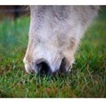 Clarisa Thompson - Instagram Profile Picture of Clarisa Thompson (@c.thompson23) on Instagram