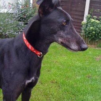 Profile Picture of Keith Connolly (@keithconnolly2) on Twitter