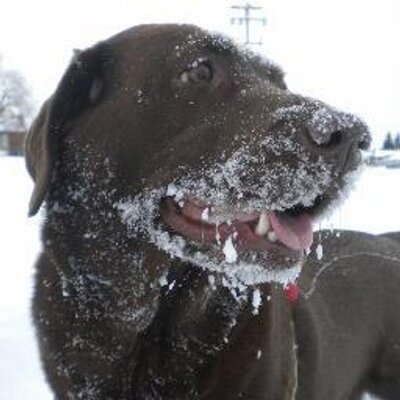 Profile Picture of Heather Danielson (@PepHeather) on Twitter