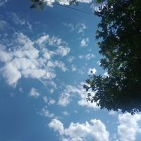 Profile Picture of ZawHtwe (@ZawHtwe62788792) on Twitter