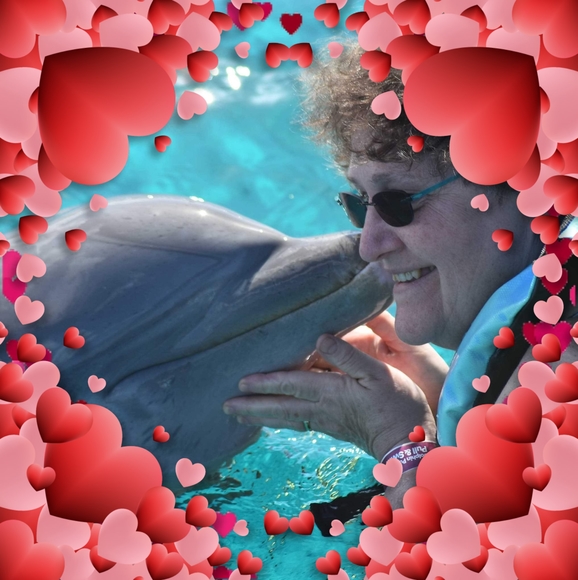 Profile Picture of Jo-allyson Jackley (@jjackley) on Poshmark