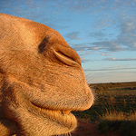 Profile Picture of Teamstevenson (@teamstevenson) on Flickr