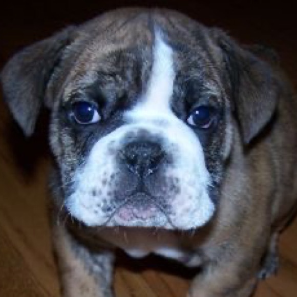 Profile Picture of Jimmy Dunn (@jimmydunn498) on Poshmark