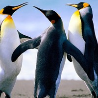 Profile Picture of Niamh Smith (@niamh-smith-42) on Quora