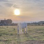 Profile Picture of Tara Stocker (@tarajane28) on Instagram