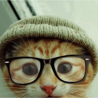Profile Picture of Clare Potter (@clare-potter) on Quora