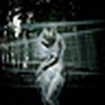 Profile Picture of Samanthaelizabeth Photography (@samanthaelizabeth photography) on Flickr