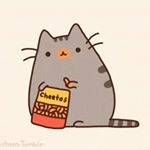 Profile Picture of Allison.cardone (@allison_thecatlover) on Instagram