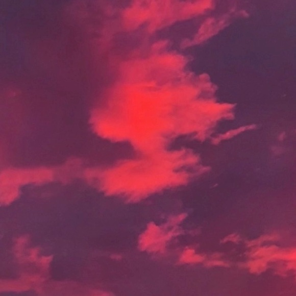 Profile Picture of Brad Scheele (@schelaylay) on Poshmark