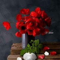 Profile Picture of Cathy Wiley (@cathy-wiley-3) on Quora