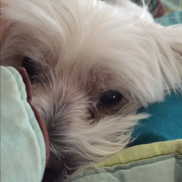 Profile Picture of Kasey Ruthven (@kayeruth) on Poshmark