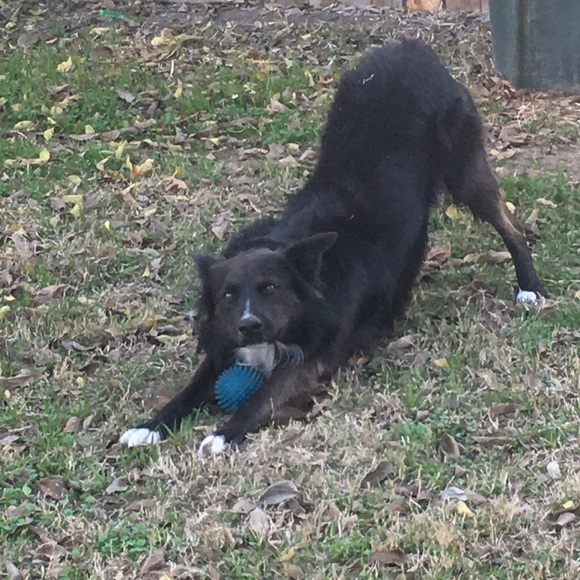 Profile Picture of Liz Romo (@ghostcroissant) on Poshmark