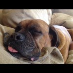 Profile Picture of gregtyner (@gregtyner) on Instagram