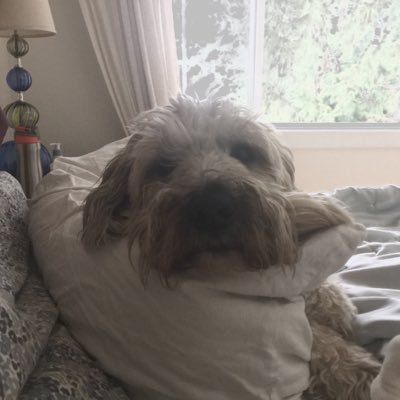 Profile Picture of Jade Greer (@therealjade100) on Twitter