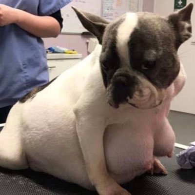 Profile Picture of Addy Power (@addypower1) on Twitter