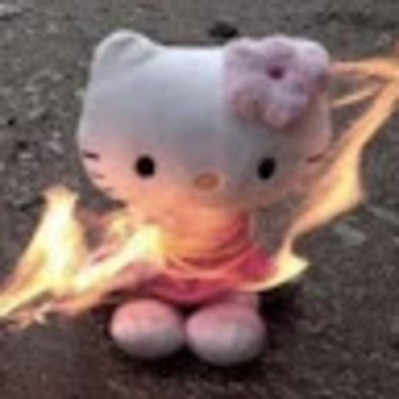 Profile Picture of Karin Loniewski (@koolaidman1210) on Poshmark