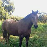 Shauntee Perez - Instagram Profile Picture of Shauntee Perez (@shaunteeperez) on Instagram