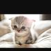 Profile Picture of Nicholas Berger (@nicholas.berger.543) on Facebook