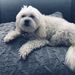 Profile Picture of Kim Clack Palmer (@12palm) on Pinterest