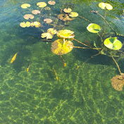 Profile Picture of Kevin Haywood (@kevinhaywood7060) on Youtube