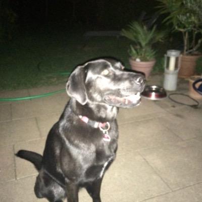 Profile Picture of Andreas Frei (@freiandr) on Twitter