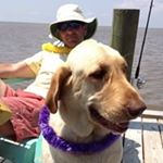 Profile Picture of Robert Fruge (@frugerobert) on Instagram