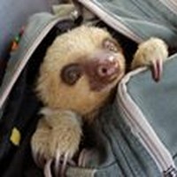 Profile Picture of Madelene Morrill (@madelene-morrill) on Quora