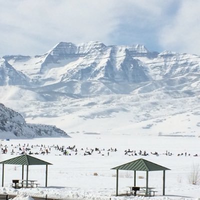 Profile Picture of Dan Lavine (@onesmoothindian) on Twitter