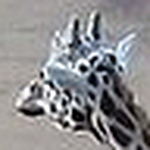 Profile Picture of Harry Stevens (@Gotecrew) on Flickr