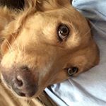 Profile Picture of Jonathan Wallin (@jwallin82) on Instagram