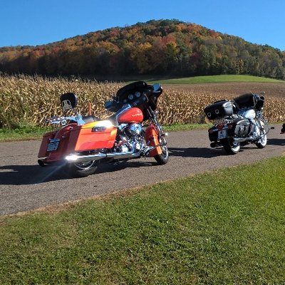 Profile Picture of David Lusby (@badbagger) on Twitter