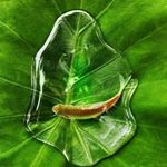 Profile Picture of Shiny Varghese (@shiny_soji) on Instagram