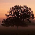 Profile Picture of Barbara Clayton (@barbaramclayton) on Pinterest