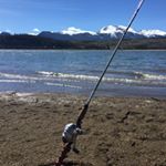 Profile Picture of Paul Jones (@p.paul.jones) on Instagram