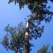 Profile Picture of Janice Lacob Shulman (@janicelacobshul) on Pinterest