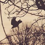 Profile Picture of Szalai Tamás (@thomas.szalai) on Instagram