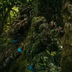 Profile Picture of Dike Nkem (@Dike-Nkem) on Facebook