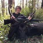 Profile Picture of Tom Linnane (@tomlinnane) on Instagram