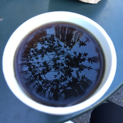 Profile Picture of Jia (@jia2zhang) on Twitter