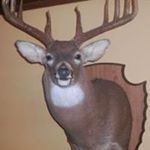 Profile Picture of Jack Cain (@jack_cain01) on Instagram