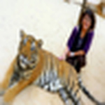 Profile Picture of Geralyn Tung (@etsuko geralyn) on Flickr