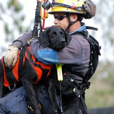 Profile Picture of Eric Darling (@Disastercanine) on Twitter