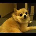 Profile Picture of Stanley Hsu (@lunacysea) on Instagram