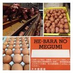 Profile Picture of HE-BARA NO MEGUMI (@hebaranomegumi) on Instagram