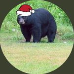 Profile Picture of Chuck Reese (@ratchetthreese) on Instagram