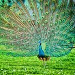 Profile Picture of Travis Baer (@mrsjones.project.travis) on Instagram