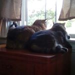Profile Picture of Sandy Springer (@sandy.springer.9) on Instagram